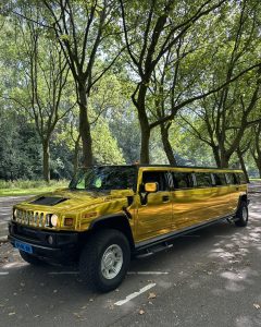 Vallei limousines gouden hummer h2